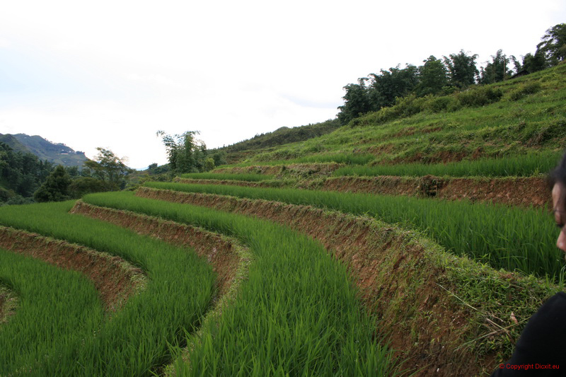 VietNam 20080728 157  